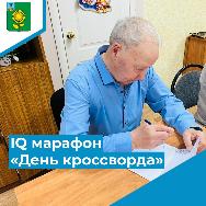 IQ марафон «День кроссворда» IQ марафон «День кроссворда»