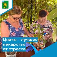 Цветы – лучшее лекарство от стресса