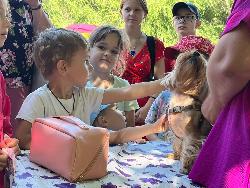 В мире животных