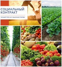 Социальный контракт на развитие личного подсобного хозяйства.