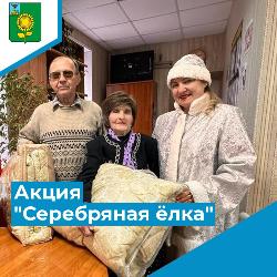 Акция «Серебряная елка» Акция «Серебряная елка»