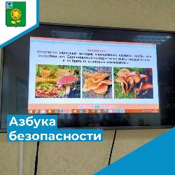 Азбука безопасности «Дары осени: Будьте осторожны!»